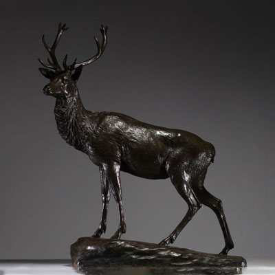 Georges GARDET (1863-1939) ‘Le Grand Cerf’ Very imposing bronze sculpture with brown patina, signed on the terrace.