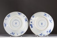 China - Pair of blue-white porcelain plates with floral and bird decoration, Kangxi mark.