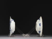 China - A pair of blue-white porcelain plates with floral decoration, Kangxi period.