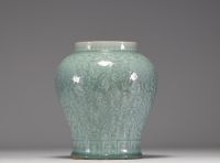 China - Pale green monochrome porcelain vase with floral decoration in relief, blue mark under the piece, 17th century.