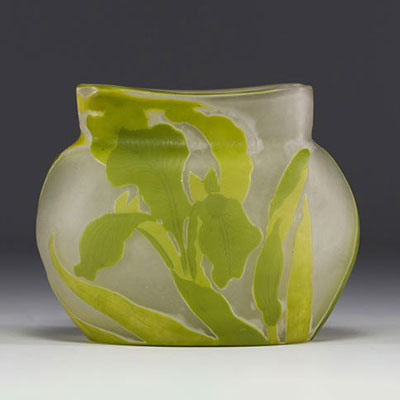 Émile GALLÉ (1846-1904) Acid-etched multi-layered glass bowl with iris decoration.