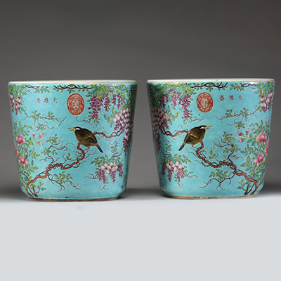 Élégante paire de cache-pots en porcelaine polychrome à fond turquoise, décorés de glycines et oiseaux, Chine, dynastie Qing, XIXe siècle