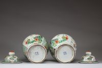 Paire de pots couverts en porcelaine polychrome de Chine, à décor floral 