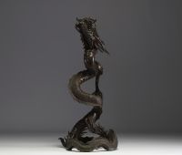 Japan - Large dragon in bronze with dark brown patina, Meiji period.