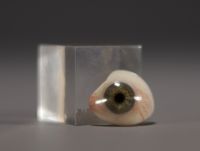 Müller Söhne Wiesbaden - Petite boite contenant deux prothèses oculaires (yeux de verre).