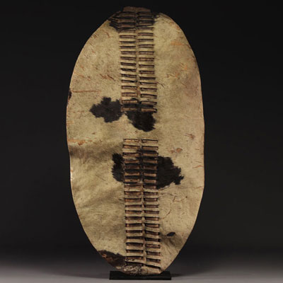 Zulu Shield - South Africa