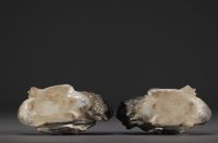 Meissen - Couple of young Swans in porcelain, crossed swords mark under the piece.