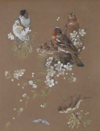 Hector Giacomelli (1822-1904) — Paire d’aquarelles : Études d’oiseaux