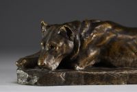 Georges Lucien GUYOT (1885-1973) - ‘Dog at rest’ Bronze with shaded brown patina, signed.