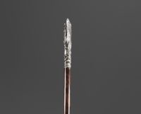 Art Nouveau silver cane with a mould and seaweed motif.