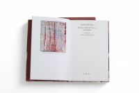 Gerhard Richter – Tableau abstrait 825-11, 69 détails Postface de Hans Ulrich Obrist.