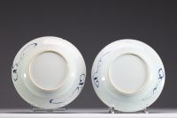 China - Pair of blue-white porcelain plates decorated with flowers, Qianlong, 18th century.