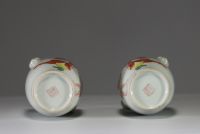 China - Pair of pink family polychrome porcelain vases decorated with characters and poems, Republic period, mark under the pieces.