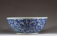 Chine - Imposant bassin en porcelaine blanc bleu à décor floral intérieur et extérieur, période Qing.