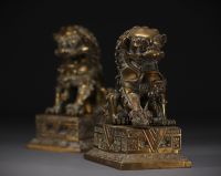 Chine - Paire de Lions de Fô en bronze.