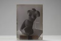 Willy KESSEL (1898-1974) - Rare set of some 200 glass and celluloid negatives.
