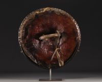Superb Amharra shield, Ethiopia