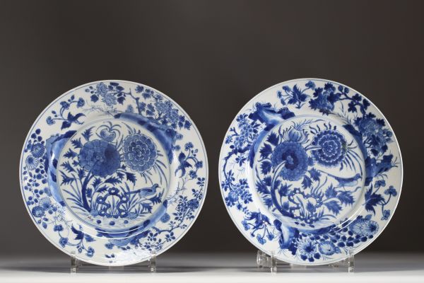 China - Pair of blue-white porcelain plates with floral and bird decoration, Kangxi mark.