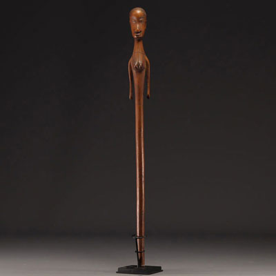 Nguni Staff / Sceptre - South Africa