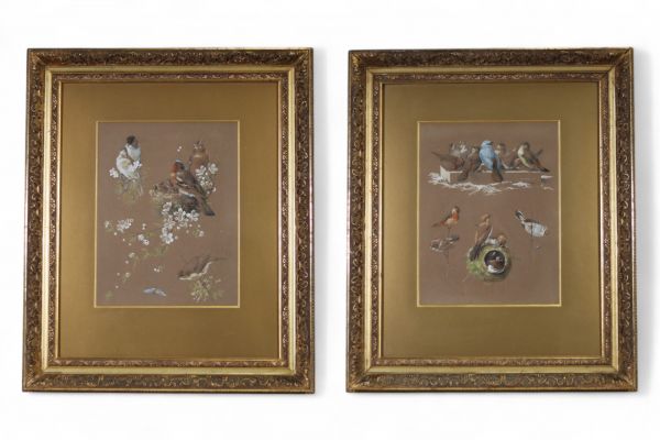 Hector Giacomelli (1822-1904) — Paire d’aquarelles : Études d’oiseaux