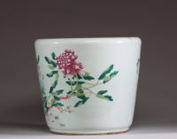 Chine - Imposante jardinière en porcelaine polychrome famille rose à décor de pivoines et de papillons, vers 1900.