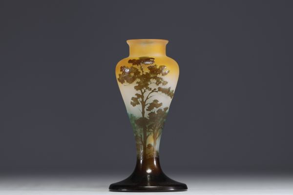 Émile GALLÉ (1846-1904) Acid-etched multi-layered glass vase with lacustrine decoration, signed.