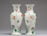 Chine - Paire de vases en porcelaine polychrome famille verte à décor d'oiseaux et de papillons, XIXème.
