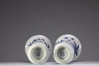 Chine - Paire de vases Gu en porcelaine blanc bleu à décor floral de coqs et poules , marque et époque Kangxi. Bon état