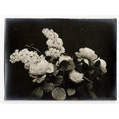 Léon Herlant (1873-1968) — Lot de 18 photographies noir et blanc sur papier, 7,5 x 11 cm chaque  Ce lot exceptionnel de photographies de diverses fleurs, capturées vers 1900, offre une exploration formelle qui privilégie la structure et les formes des pétales, plutôt que la vibrance des couleurs. Ici, les fleurs sont photographiées non pas dans leur éclat habituel, mais sous un regard contemporain