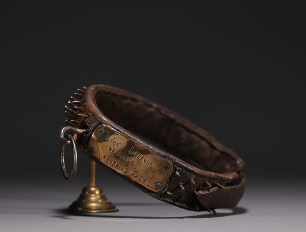 Rare collier de chien en cuir, clous en acier, plaquette nominative en laiton, XIXe siècle.