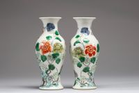 Chine - Paire de vases en porcelaine polychrome famille verte à décor d'oiseaux et de papillons, XIXème.