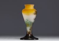 Émile GALLÉ (1846-1904) Acid-etched multi-layered glass vase with lacustrine decoration, signed.
