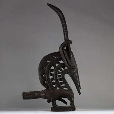 Ancien cimier « Chi Wara », Bamana, Mali. Bois. Il s’inscrit dans le style dit « horizontal du Sud », typique des régions de Sikasso et Bougouni. Ce style se distingue par des formes allongées, une représentation semi-abstraite, et une grande attention portée aux motifs incisés. Les éléments identifiables (cornes spiralées, oreilles recourbées, scarifications nombreuses, sexe proéminent ) sont car