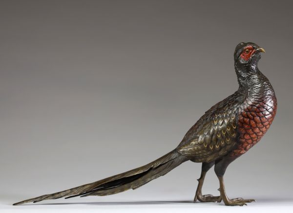 Franz Xavier BERGMANN (1861-1936) Bronze de Vienne animalier polychrome représentant un faisan, signé.
