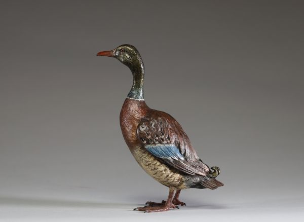 Franz Xavier BERGMANN (1861-1936) Bronze de Vienne animalier polychrome représentant un canard Col vert, signé et monogrammé.