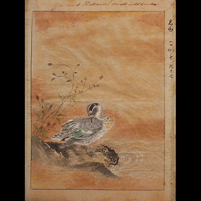 Japon - Estampe au canard sauvage et calligraphie, XIXe siècle.
