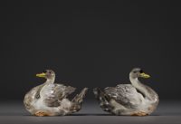 Meissen - Couple of young Swans in porcelain, crossed swords mark under the piece.