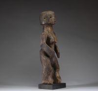 Afrique - Grande statue Chamba en bois dense et ancien, Nigéria, 1ère moitié XXème ou antérieur.