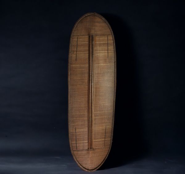 DRC - Mongo Shield