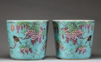Élégante paire de cache-pots en porcelaine polychrome à fond turquoise, décorés de glycines et oiseaux, Chine, dynastie Qing, XIXe siècle