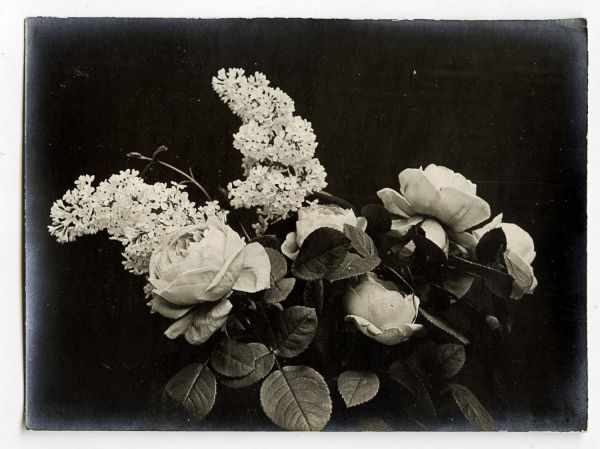 Léon Herlant (1873-1968) — Lot de 18 photographies noir et blanc sur papier, 7,5 x 11 cm chaque  Ce lot exceptionnel de photographies de diverses fleurs, capturées vers 1900, offre une exploration formelle qui privilégie la structure et les formes des pétales, plutôt que la vibrance des couleurs. Ici, les fleurs sont photographiées non pas dans leur éclat habituel, mais sous un regard contemporain