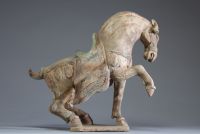 Chine - Cheval en terre cuite polychrome, Dynastie Tang (?)