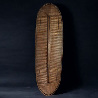 DRC - Mongo Shield