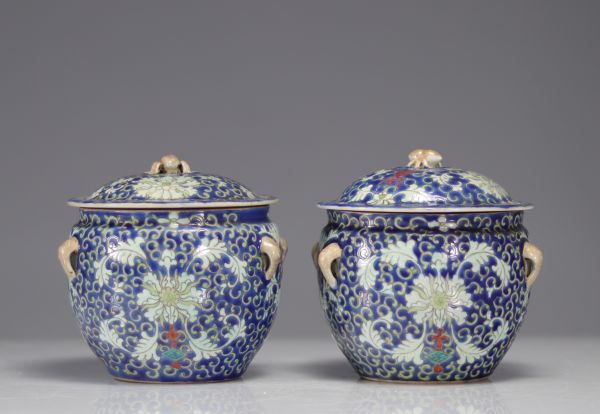 China - A pair of Famille Rose porcelain terrines with floral decoration.