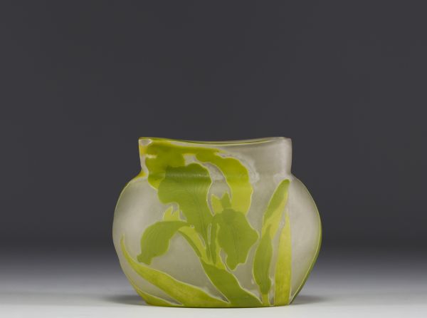 Émile GALLÉ (1846-1904) Coupe en verre multicouche dégagé à l'acide à décor d'iris.