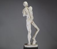 Grand écorché académique en plâtre, d’après Houdon, XIXᵉ siècle Rare modèle anatomique en plâtre figurant un homme écorché en pied, d’après le célèbre écorché de Jean-Antoine Houdon, réalisé à l’origine pour l’Académie royale de peinture et de sculpture à la fin du XVIIIᵉ siècle.  Ce modèle didactique représente un corps masculin dépourvu de peau, dévoilant avec rigueur la structure musculaire et