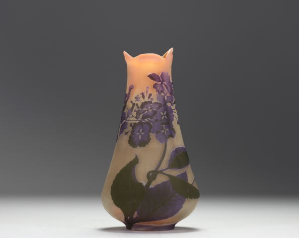 Émile GALLÉ (1846-1904) Acid-etched multi-layered glass vase decorated with anemones, signed.