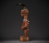 Importante statue masculine SONGYE de la région de TSHOFA collectée vers 1900.