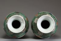 Chine - Paire de vases en porcelaine polychrome famille verte à décor d'oiseaux en cartouches sur un fond fleuri, XIXème.